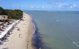 Vista aérea da Praia do Mutá em Porto Seguro, com faixa de areia clara, coqueiros, guarda-sóis e mar calmo em tons de azul e verde.