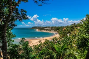 Vista panorâmica do passeio a praia do espelho com falésias, mar azul-turquesa e vegetação exuberante.