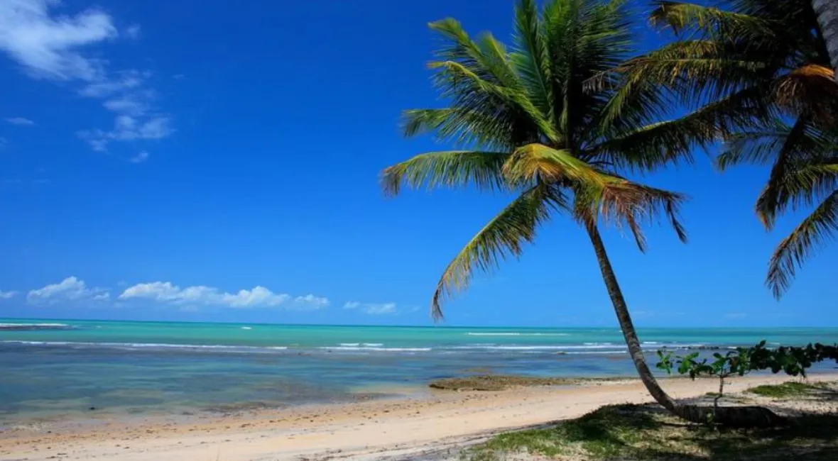 A beleza inconfundível da Praia do Espelho durante a maré baixa revela piscinas naturais de um azul-turquesa inacreditável. O coqueiro na areia e o mar calmo criam o cenário perfeito para um dia de relaxamento no Sul da Bahia.