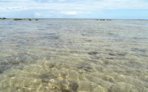 Passeio privativo Praia do Espelho e Trancoso saindo de Porto Seguro, vista das piscinas naturais na maré baixa