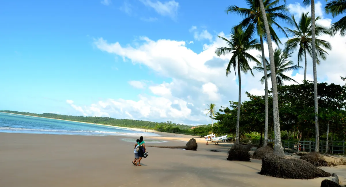 Visão deslumbrante da Praia dos Coqueiros em Trancoso, com suas águas claras e coqueiros que oferecem sombra perfeita para um dia de relaxamento.