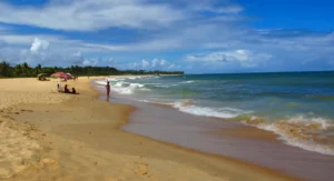Praia dos Nativos em Trancoso com mar agitado, faixa de areia dourada e coqueiros sob céu azul e nuvens, Bahia.