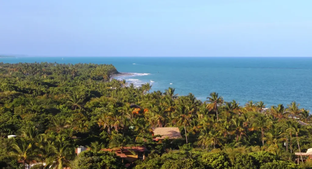 Vista panorâmica aérea da costa de Trancoso com coqueirais densos, praias de areia clara e o mar azul da Bahia ao fundo.