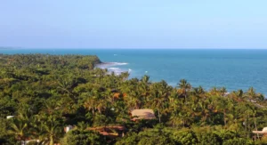 Vista panorâmica aérea da costa de Trancoso com coqueirais densos, praias de areia clara e o mar azul da Bahia ao fundo.