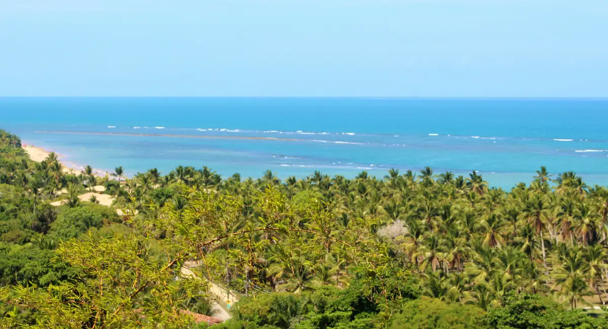 Vista panorâmica de Arraial d'Ajuda, Bahia, mostrando uma densa linha de coqueiros verdes que se estende até a orla, com o mar cristalino em tons de azul e turquesa sob um céu limpo.