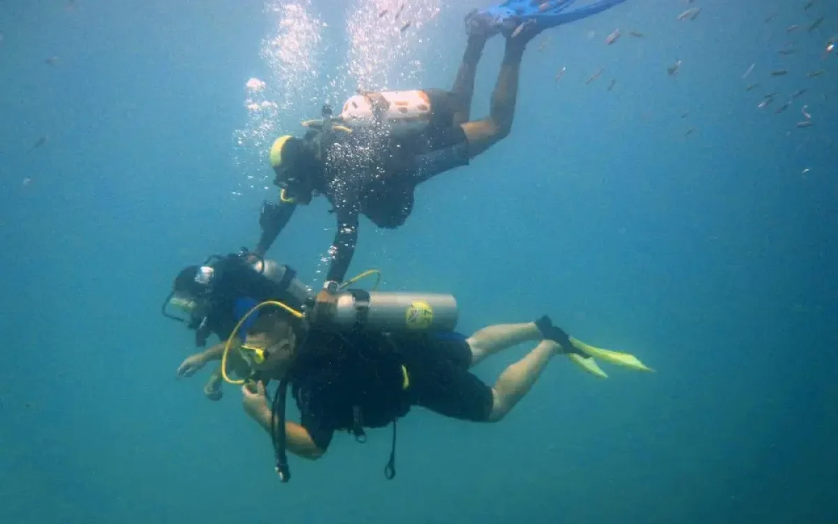 Passeio de Mergulho em Porto Seguro: Explore as Maravilhas Subaquáticas